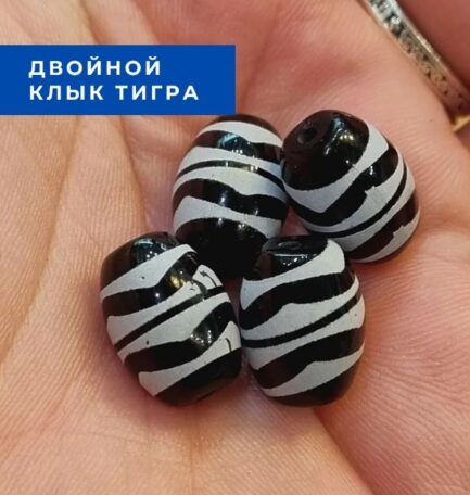 Дзи малютки двойной клык тигра